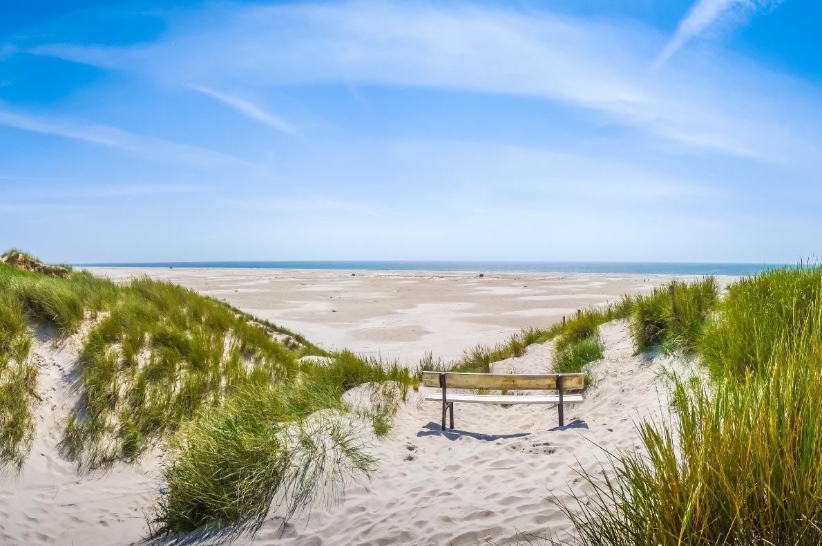 أمرومر ستراند