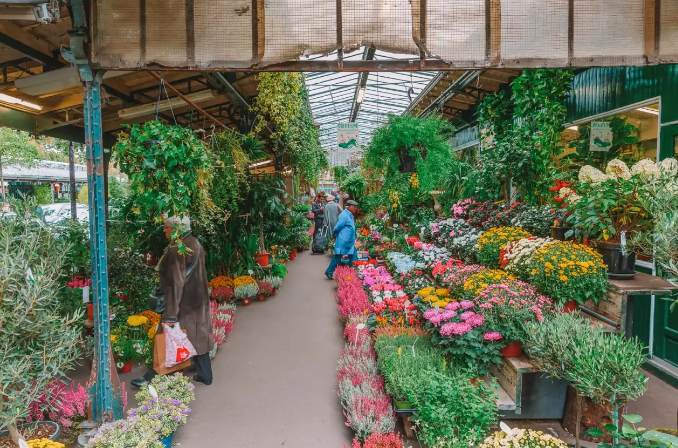 سوق الزهور والنباتات